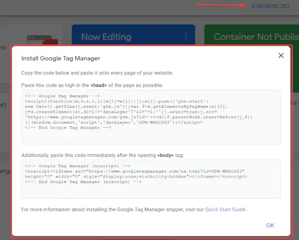 google tag manager on wordpress script