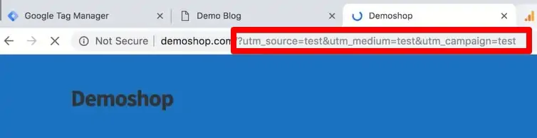 UTM parameter for testing