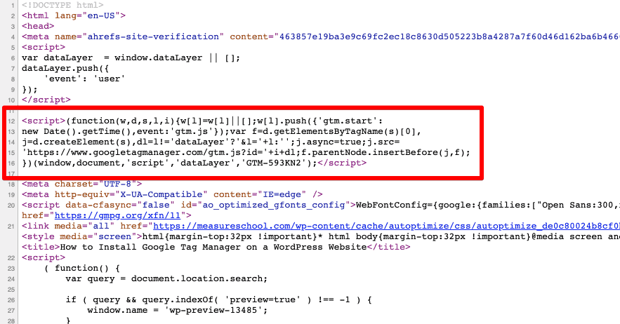 check-the-gtm-snippet