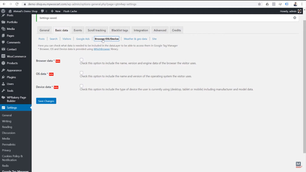 google-tag-manager-for-wordpress-plugin-options-basic-data-browser-os-device
