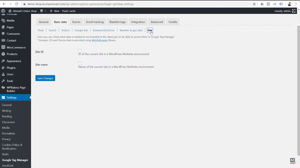google-tag-manager-for-wordpress-plugin-options-basic-data-site