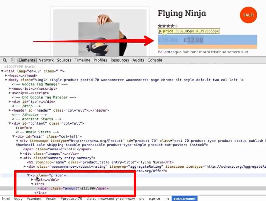 Screenshot of Chrome Dev Tools showing the p class price for CSS selection