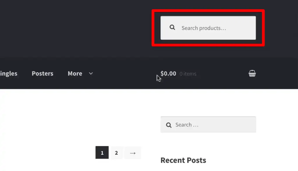 Enlarged demo website view with search bar highlighted