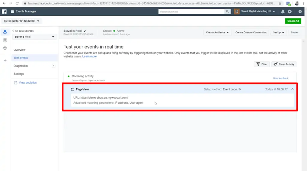 Screenshot of pageview recorded in Pixel Events Manager test events