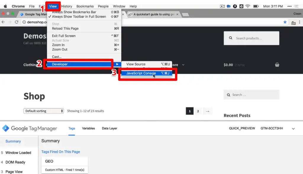 Opening JavaScript Console to execute functions from geoPlugin