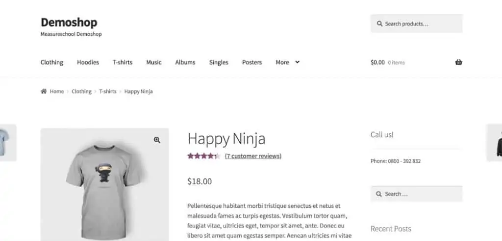 Product page of our demo shop website