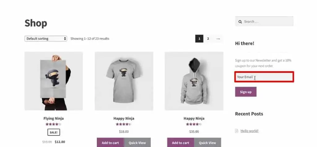 The email form field of the newsletter in demoshop