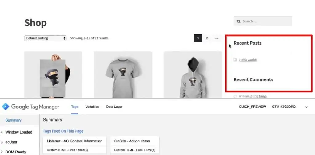The newsletter signup widget doesn’t show up on the demoshop web page