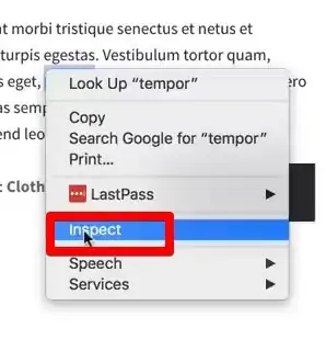 Inspecting the popup element on the demo eCommerce store