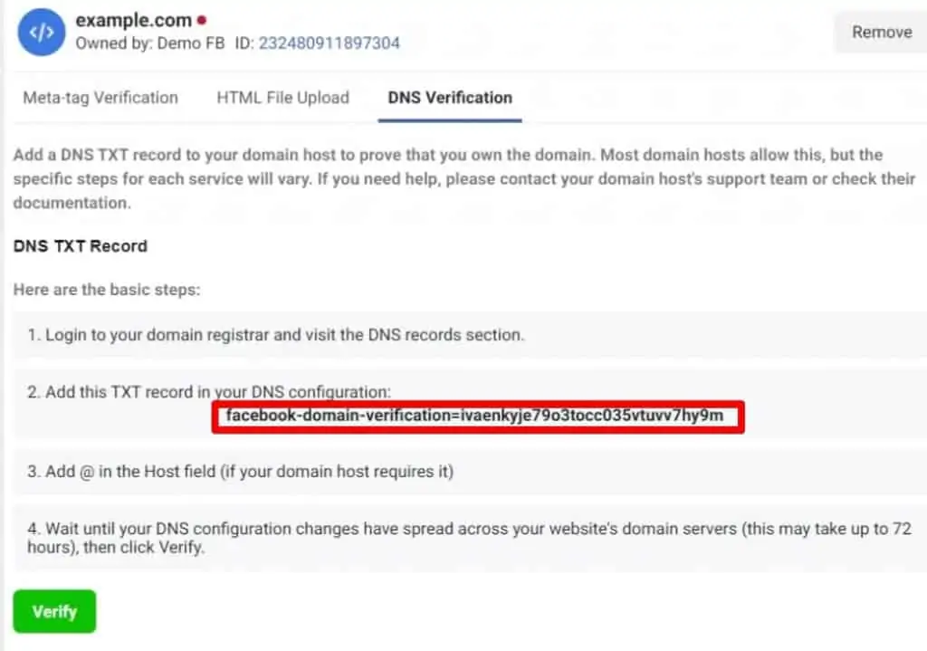 Instructions on how to verify Domain via DNS Verification: login to domain registrar and view DNS records, add TXT record to configuration, add @ in host field, wait 72 hours for changes, click Verify