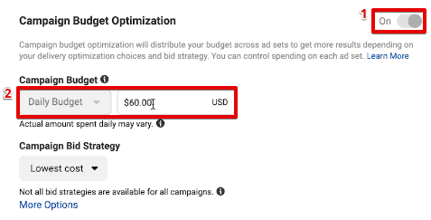 Utilizing the Campaign Budget Optimization option to set the daily campaign budget