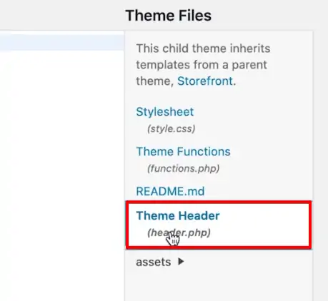 Accessing the theme header from the theme files section of the website backend channel