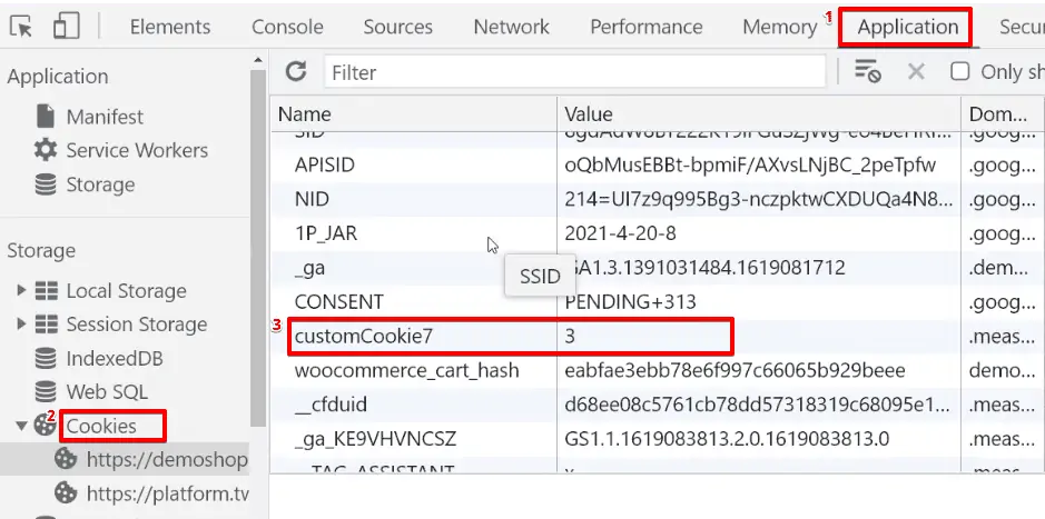Checking the cookies from the developer options in the browser