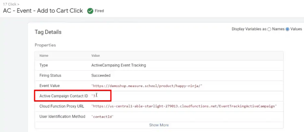 Checking the information of the fired Tag on Google Tag Manager