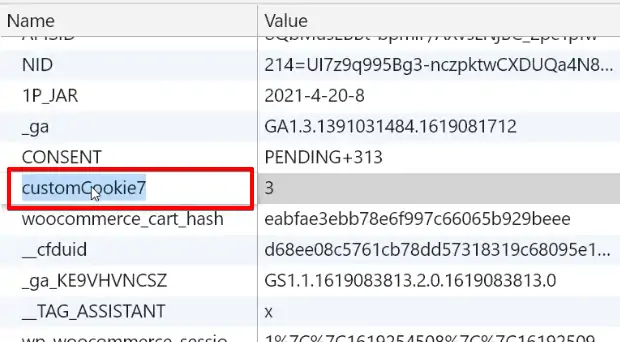 Copying the cookie name from the developer tools in the browser for the Tag in Google Tag Manager