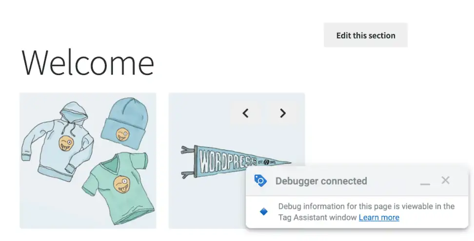Entering the debugger mode to verify changes to the fired Tags