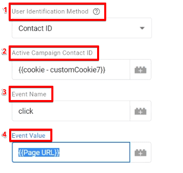 The correct information for input in Google Tag Manager deployment