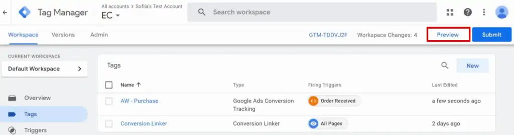 Clicking the preview button to begin the testing process