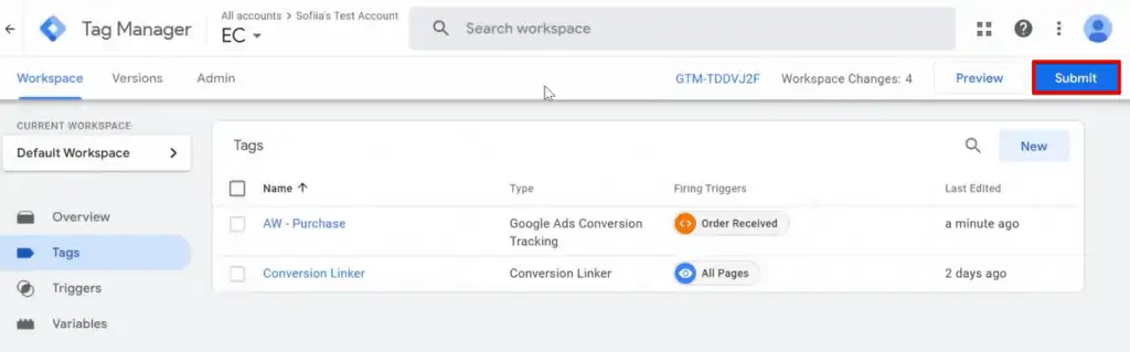 Publishing the container from Tag Manager