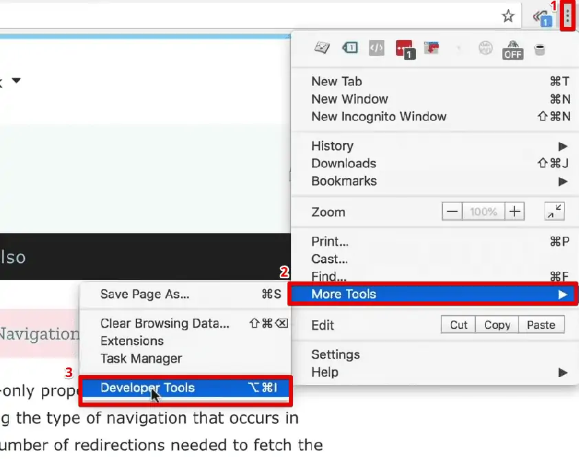 Accessing the Developer Tools via the More Tools option from the web browser
