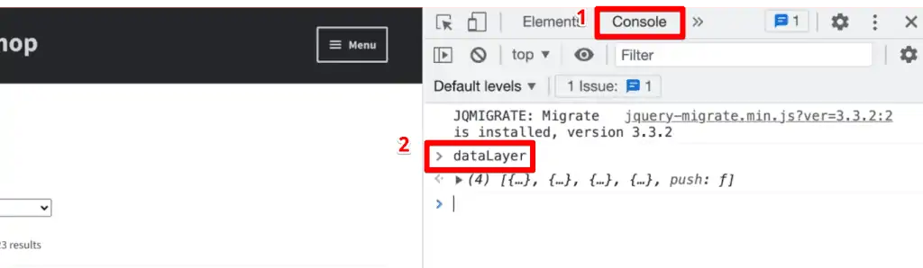 Entering the dataLayer command in the console tab