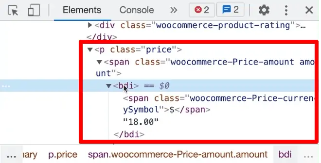 Inspected element code in the developer tools pane