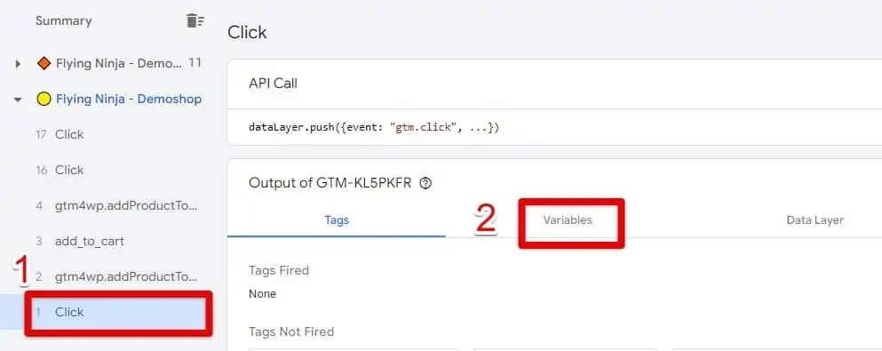 Accessing the debug interface variables