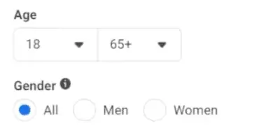 Audience age and gender sections