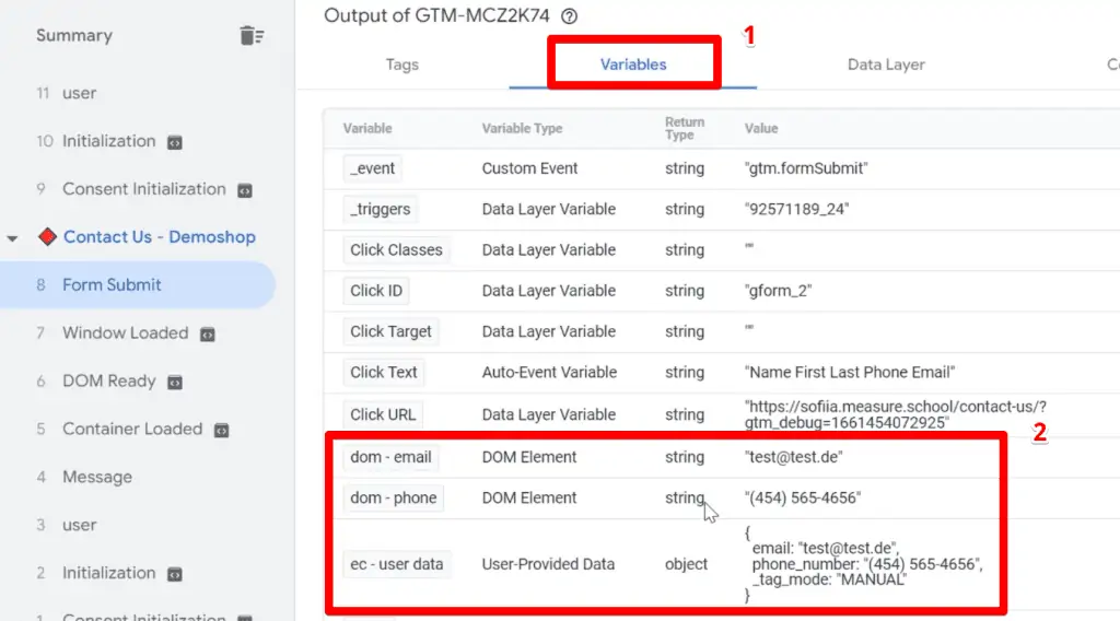 DOM element and user-provided data variables in the Tag Assistant