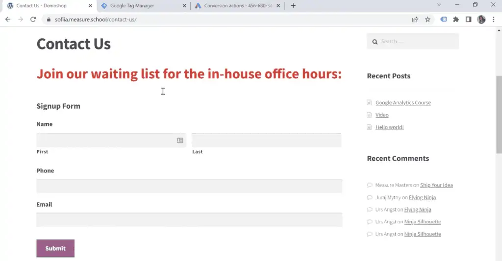 Demo website lead form