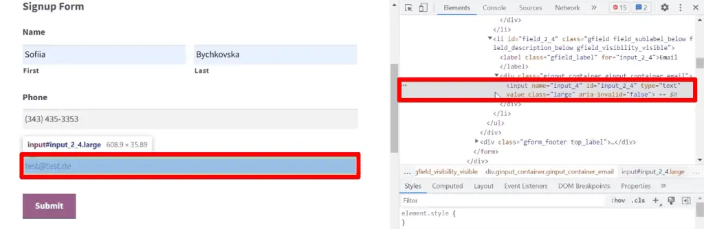 Grabbing the email form field