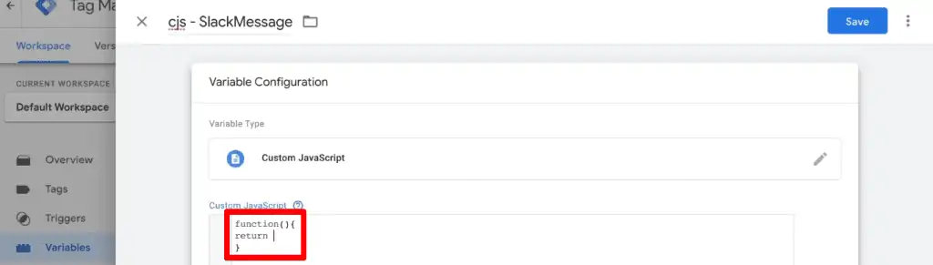 Invoking an anonymous function in the custom JavaScript variable