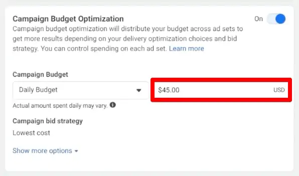 Setting the campaign budget