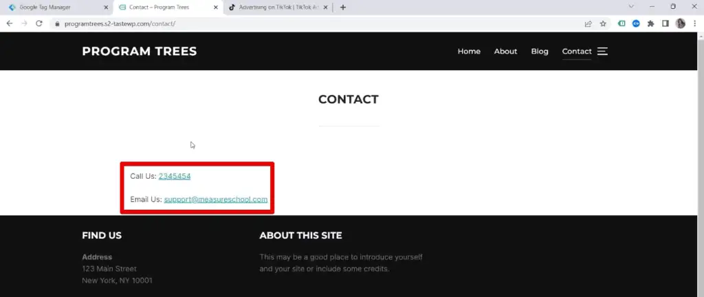 Phone number and email elements on the contact page