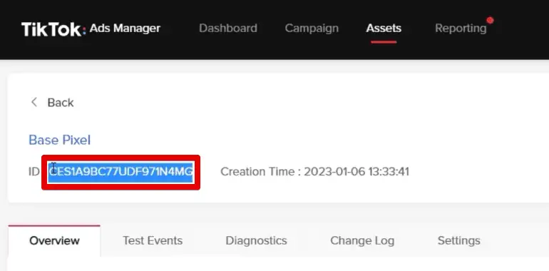 Pixel ID from the TikTok ads manager
