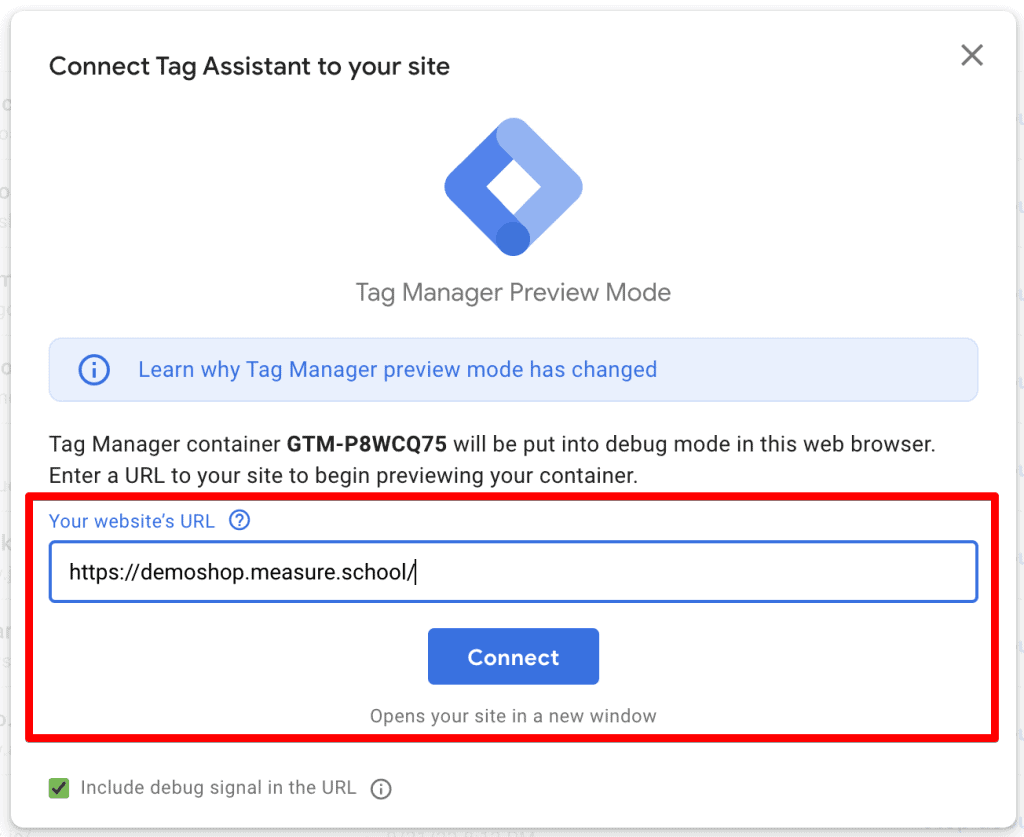 Entering website URL in GTM preview mode