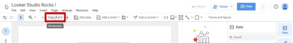 Accessing the report pages panel