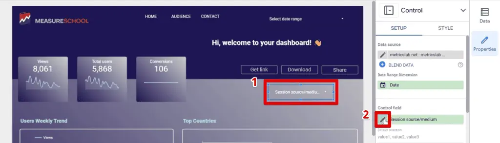Formatting the session source/medium control