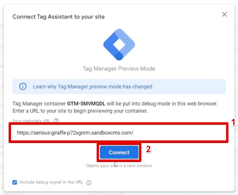 Connecting the Tag Assistant to the online store