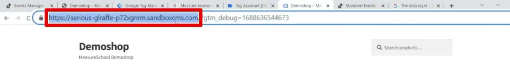 Copying the demo shop website URL