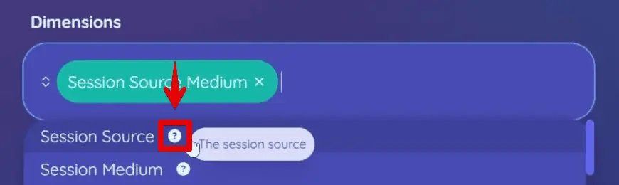 Dimension/metric name