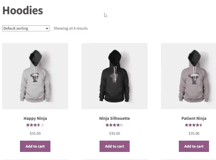 Demo eCommerce store