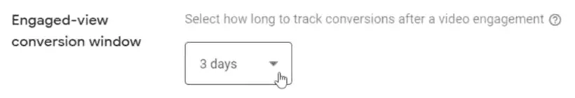 Engaged-view conversion window field