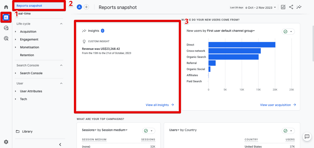 Insights card in the Reports snapshot