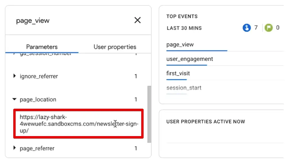Checking the page_location parameter of the new page_view event