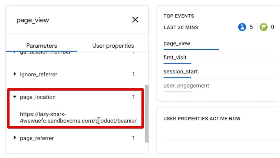 Checking the page_location parameter of the page_view event