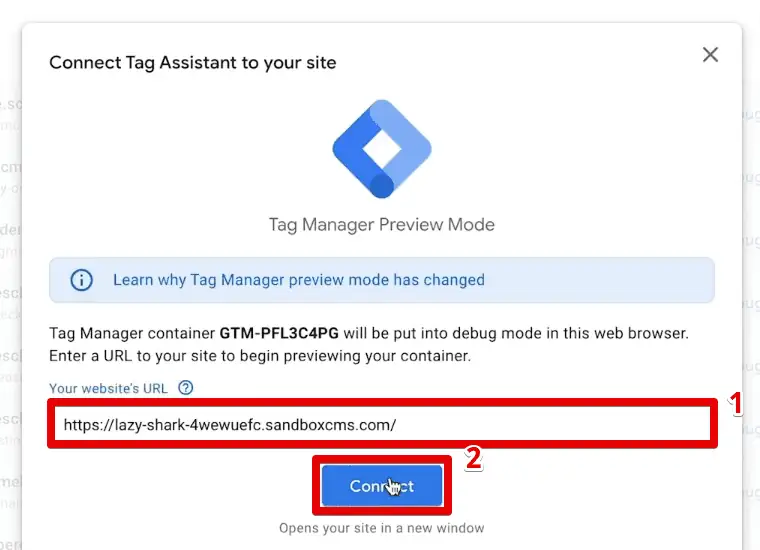 Connecting GTM to the demo shop