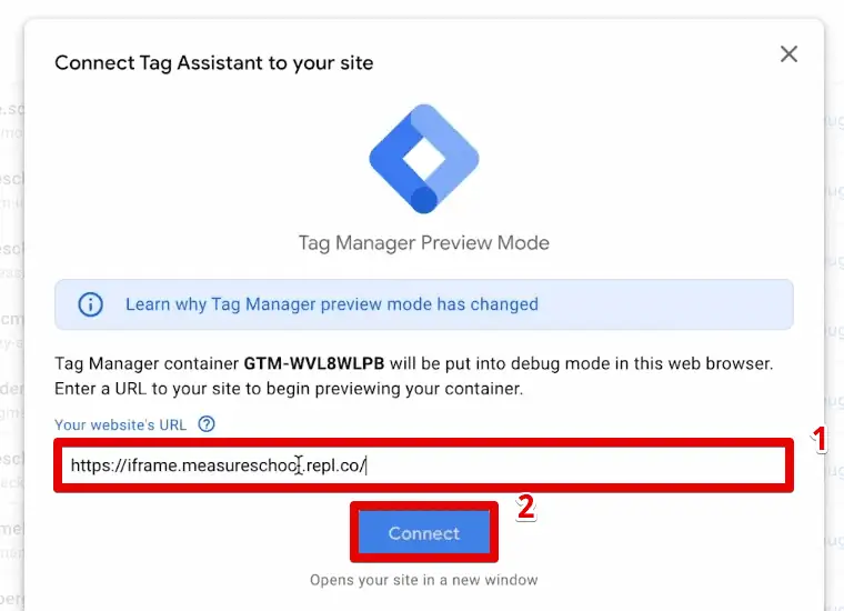 Connecting the Tag Assistant to your website