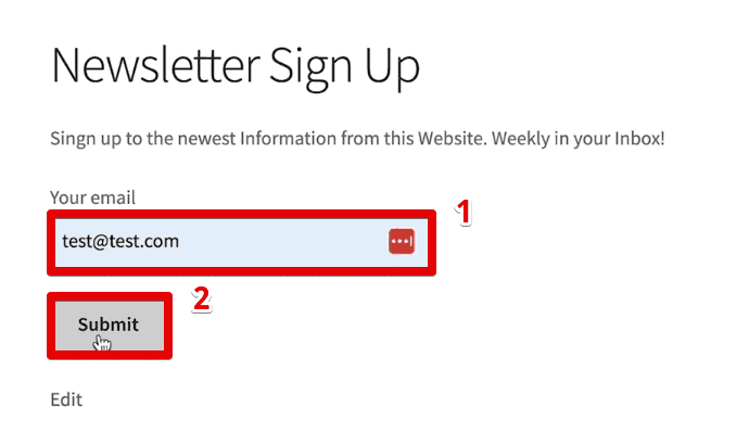 Filling out the newsletter sign-up form