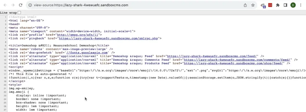 Opening the HTML source of the demo shop